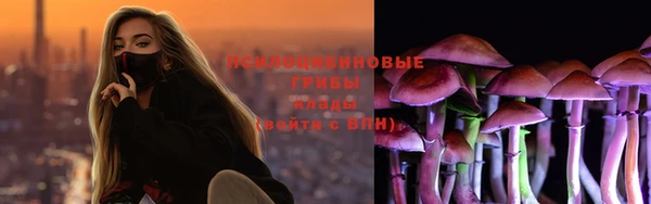 гидропоника Сатка