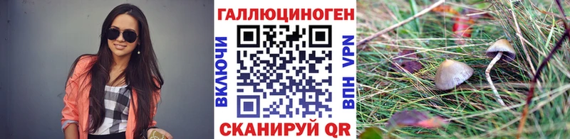 закладки  Кимовск  Галлюциногенные грибы прущие грибы 