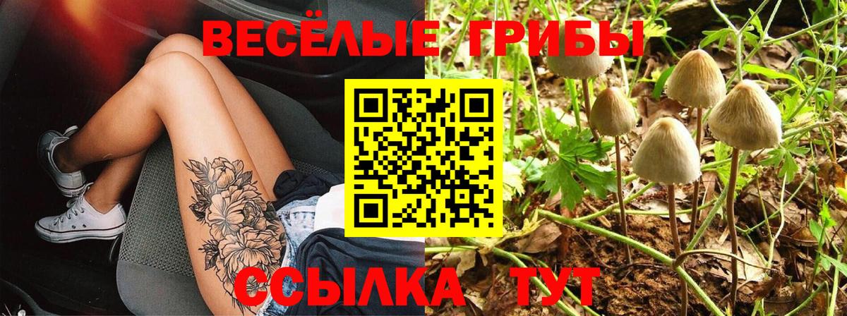 Псилоцибиновые грибы мицелий  Псилоцибиновые грибы ЛСД  Кимовск  Вход с VPN 