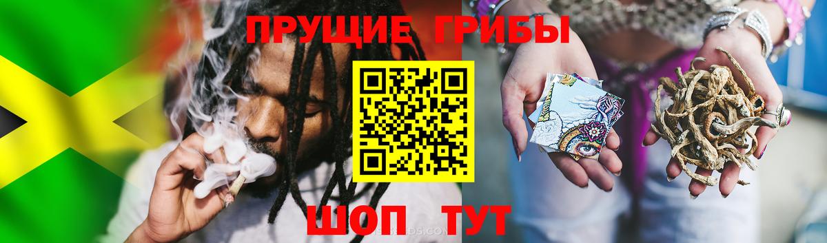 Псилоцибиновые грибы прущие грибы Кимовск