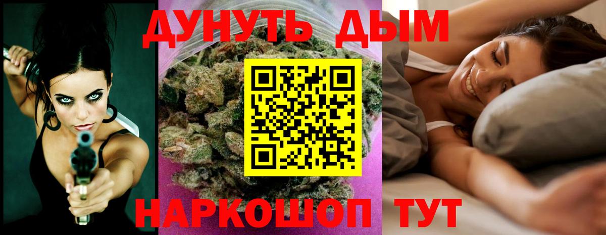 Канабис планчик Кимовск